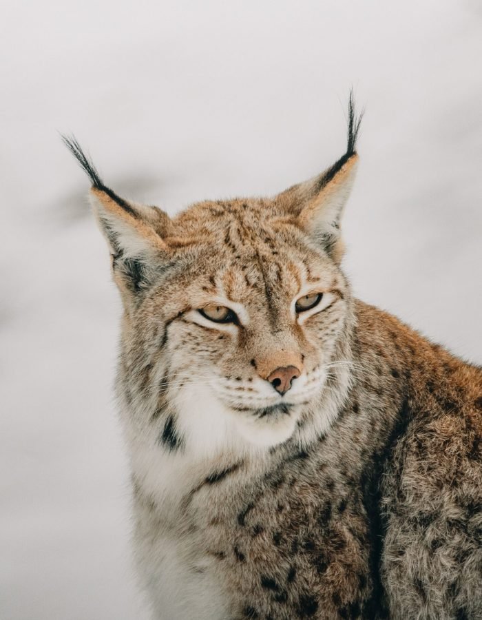 pexels david selbert 7896217 2 scaled.jpg