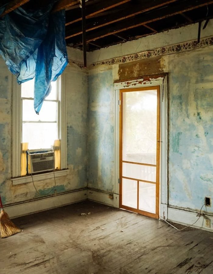 pexels photo 3562689.jpeg