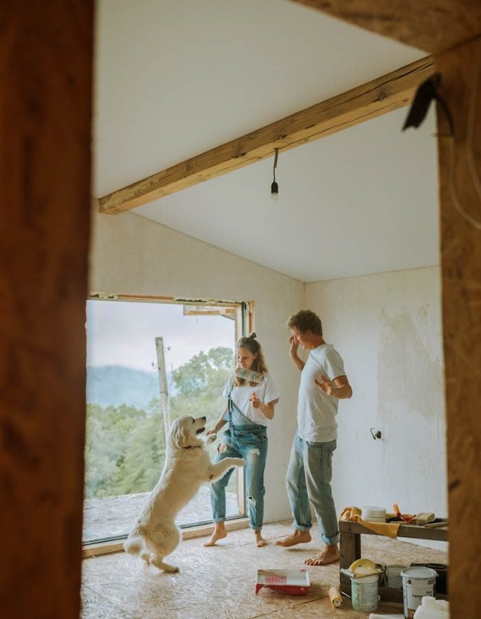 pexels photo 5495067