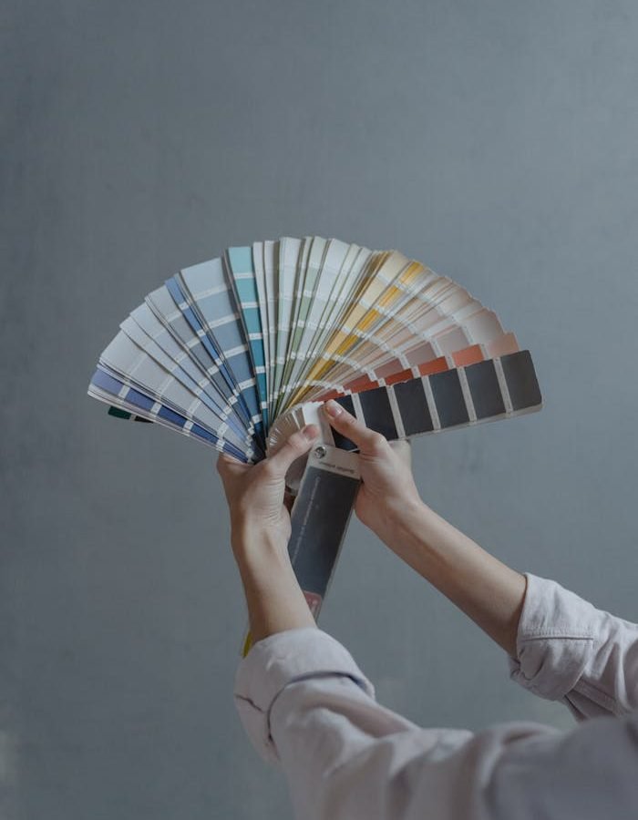 pexels photo 6474446