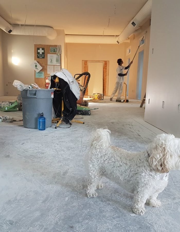 pexels photo 735319.jpeg