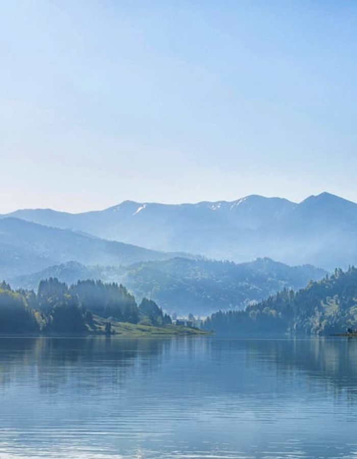 project background.jpg